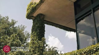 Modernes Haus bewachsen mit Pflanzen